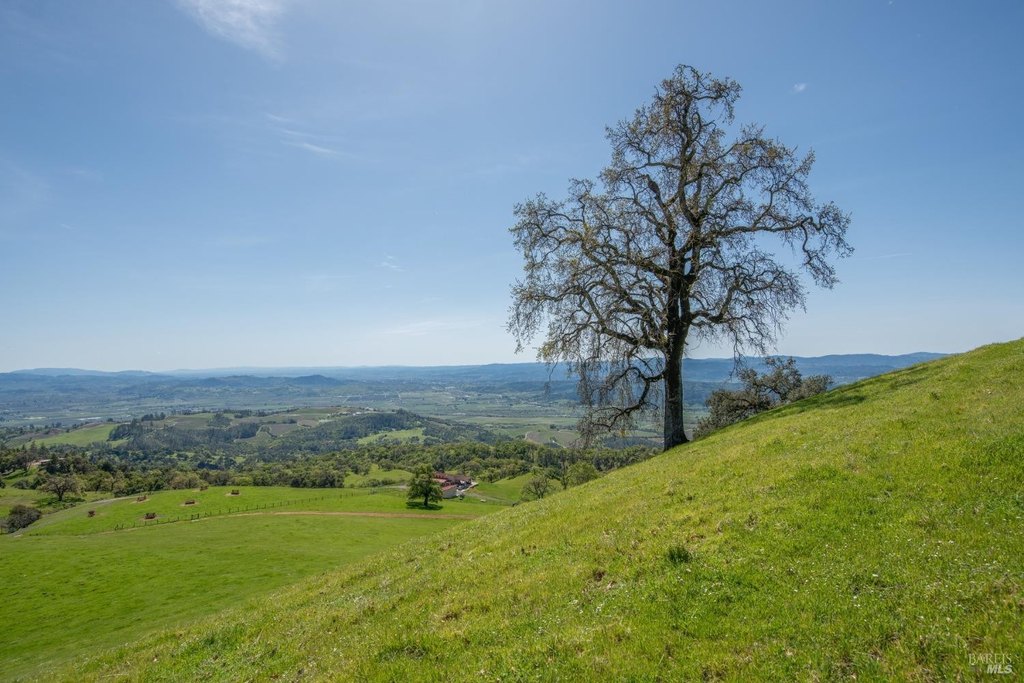 Geyserville, California, 95441, United States, ,Land,Forsale,1952094