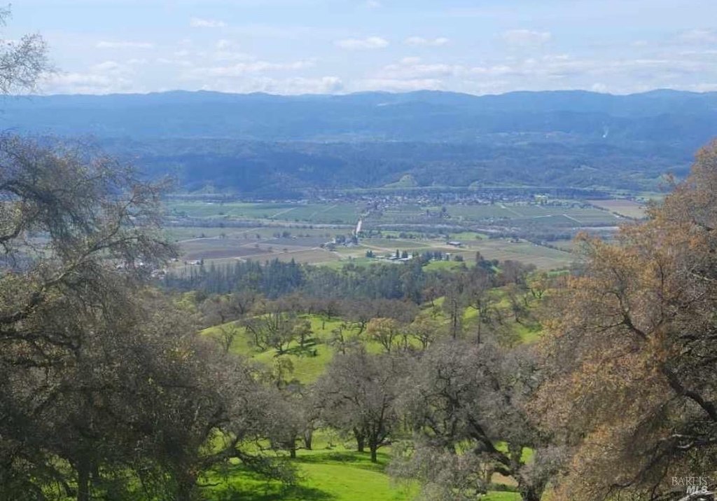 Geyserville, California, 95441, United States, ,Land,Forsale,1952094