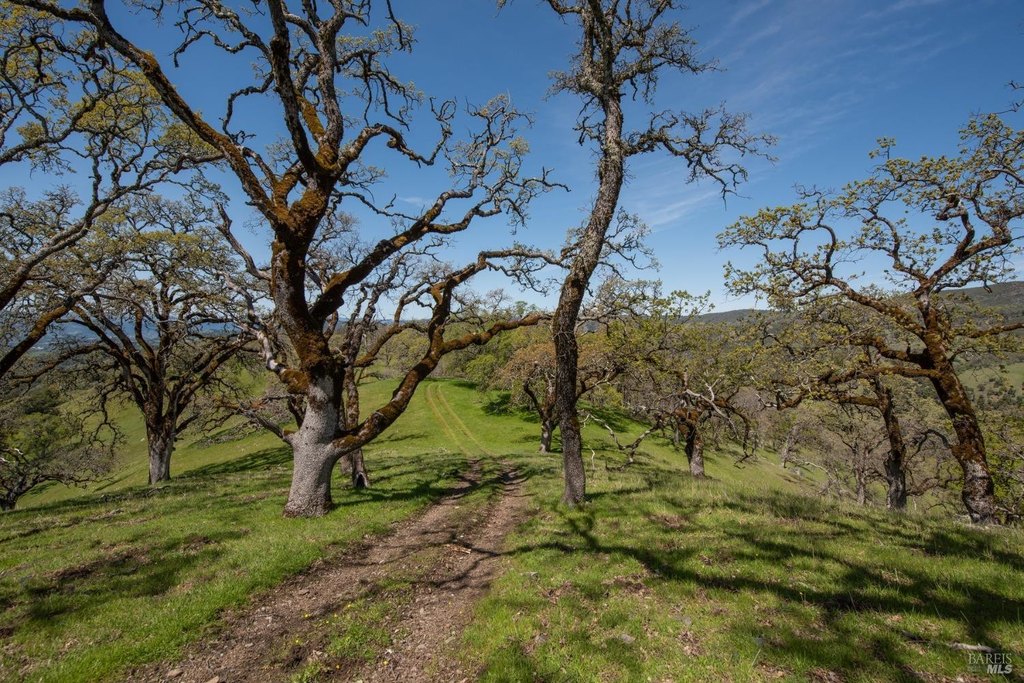 Geyserville, California, 95441, United States, ,Land,Forsale,1952094