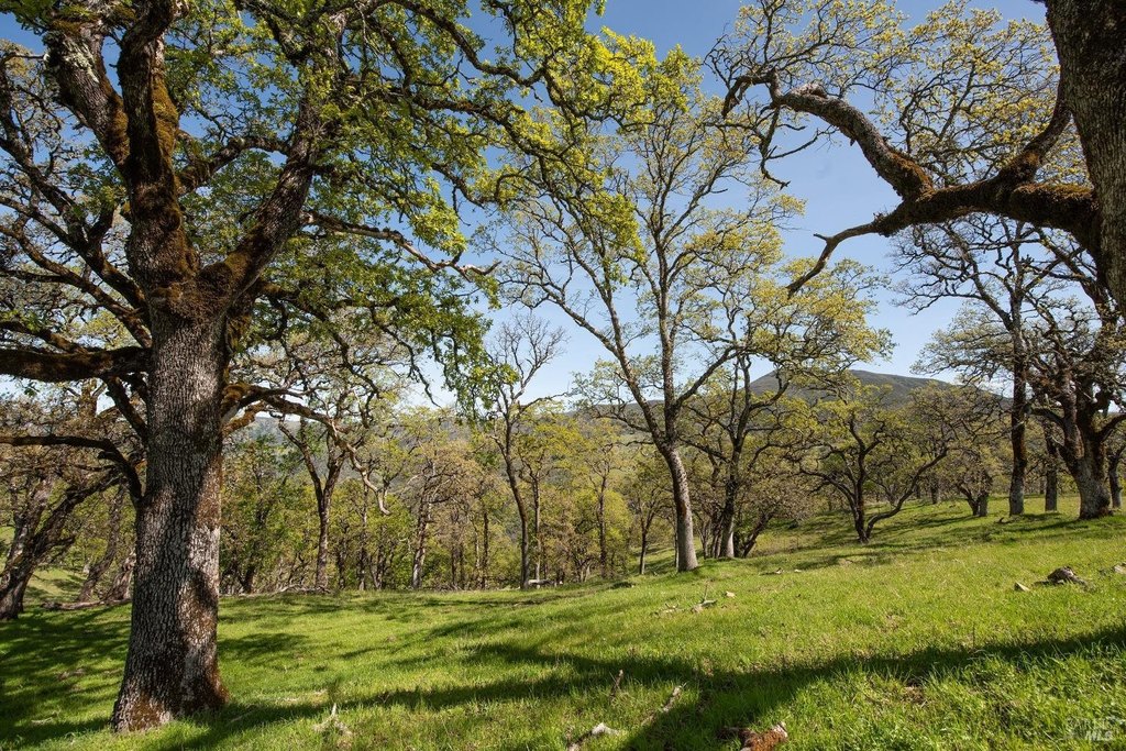 Geyserville, California, 95441, United States, ,Land,Forsale,1952094