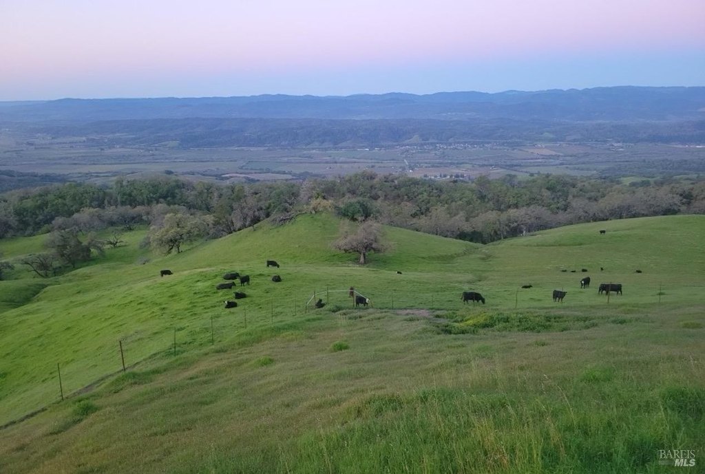 Geyserville, California, 95441, United States, ,Land,Forsale,1952094