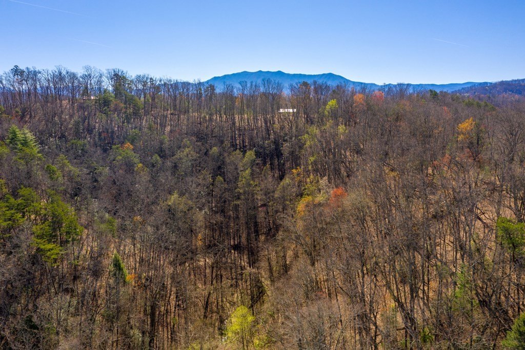 Pigeon Forge, Tennessee, 37863, United States, ,Commercial,Forsale,1893778