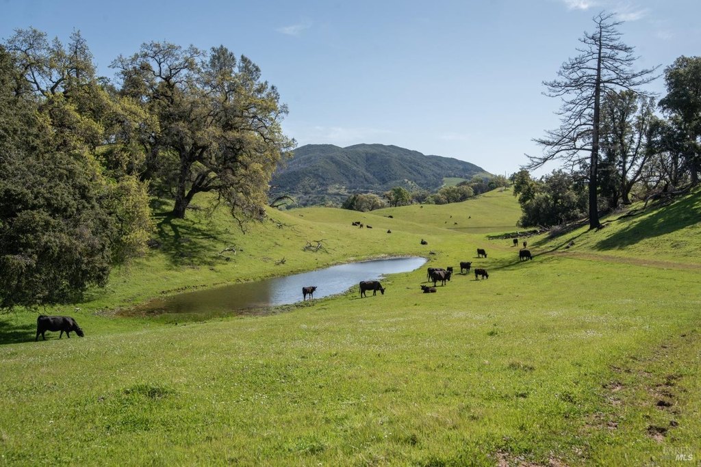 Geyserville, California, 95441, United States, 3 Bedrooms Bedrooms, ,3.5 BathroomsBathrooms,Residential,Forsale,1918899