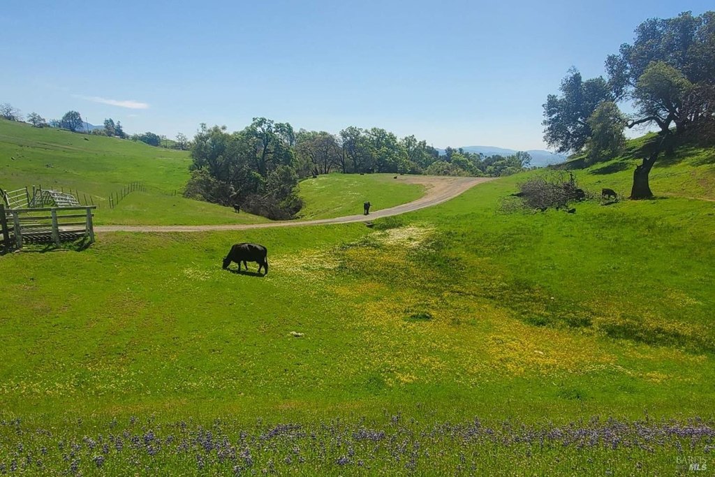 Geyserville, California, 95441, United States, ,Land,Forsale,1952094