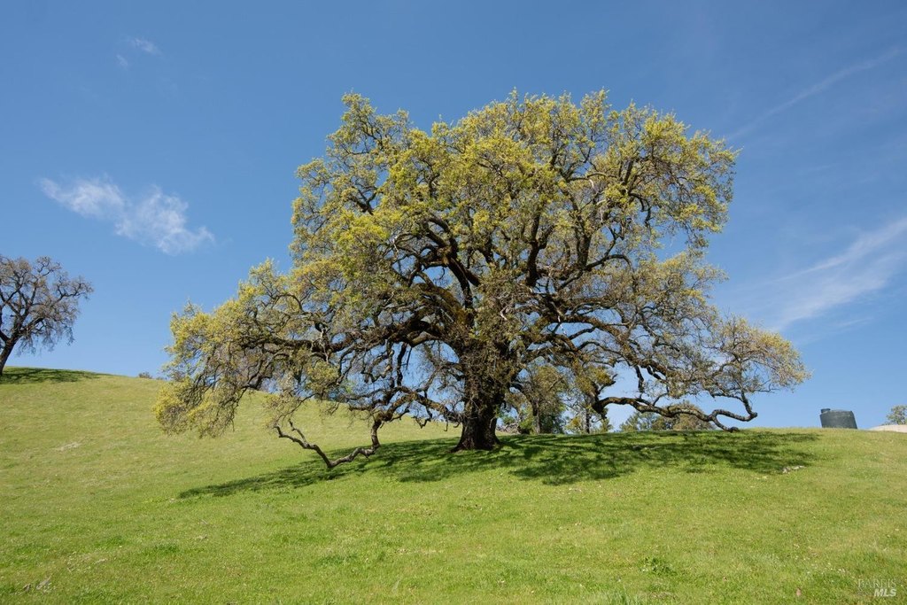 Geyserville, California, 95441, United States, ,Land,Forsale,1952094