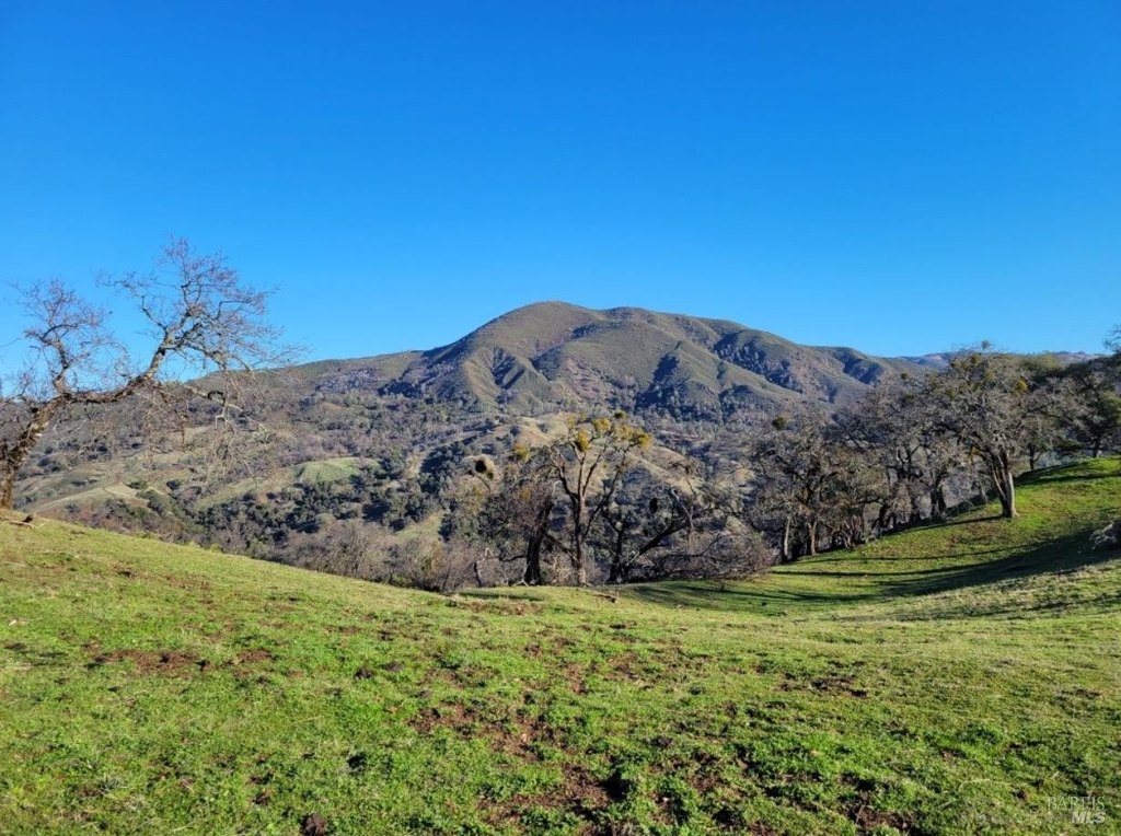 Geyserville, California, 95441, United States, ,Land,Forsale,1952094