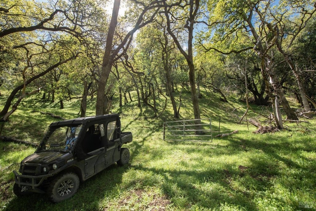 Geyserville, California, 95441, United States, ,Land,Forsale,1952094