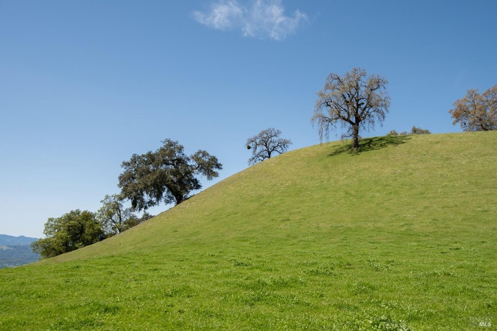 Geyserville, California, 95441, United States, ,Land,Forsale,1952094