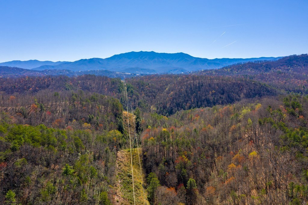 Pigeon Forge, Tennessee, 37863, United States, ,Commercial,Forsale,1893778