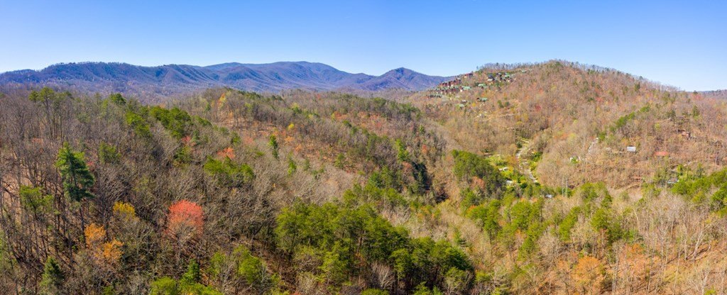 Pigeon Forge, Tennessee, 37863, United States, ,Commercial,Forsale,1893778