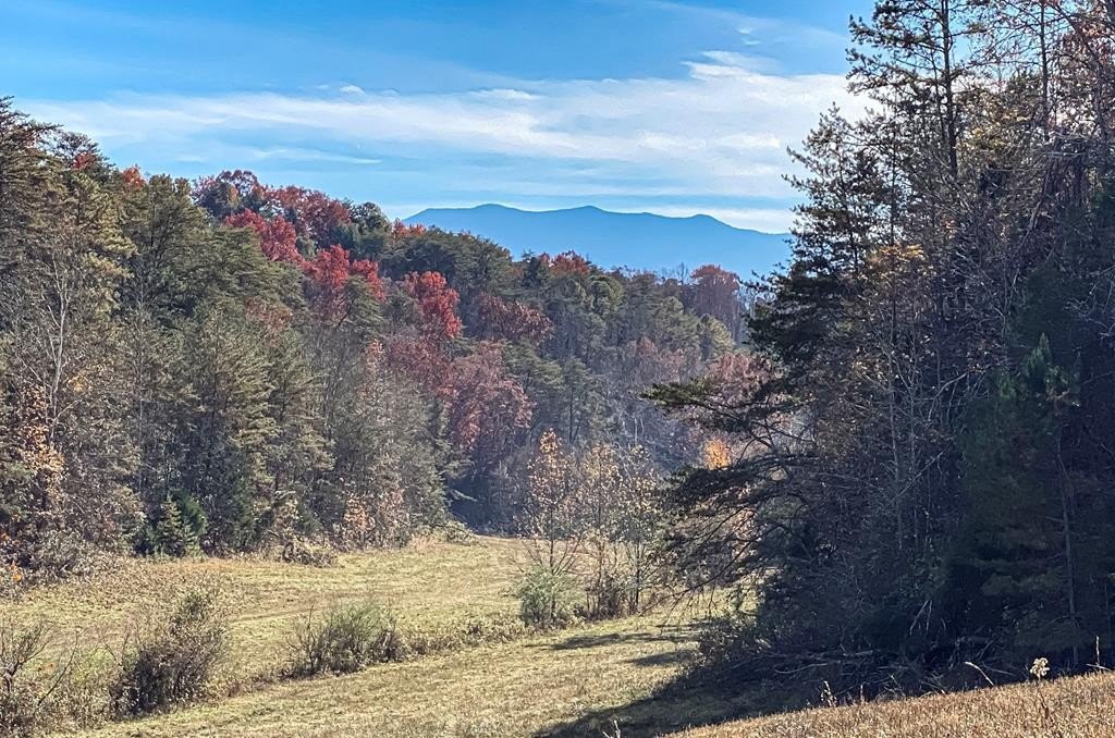 Sevierville, Tennessee, 37876, United States, ,Land,Forsale,1893796