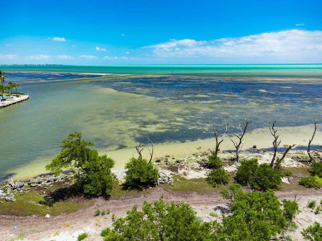 Marathon, Florida, 33050, United States, ,Land,Forsale,2004348