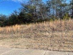 Sevierville, Tennessee, 37764, United States, ,Commercial,Forsale,1893795