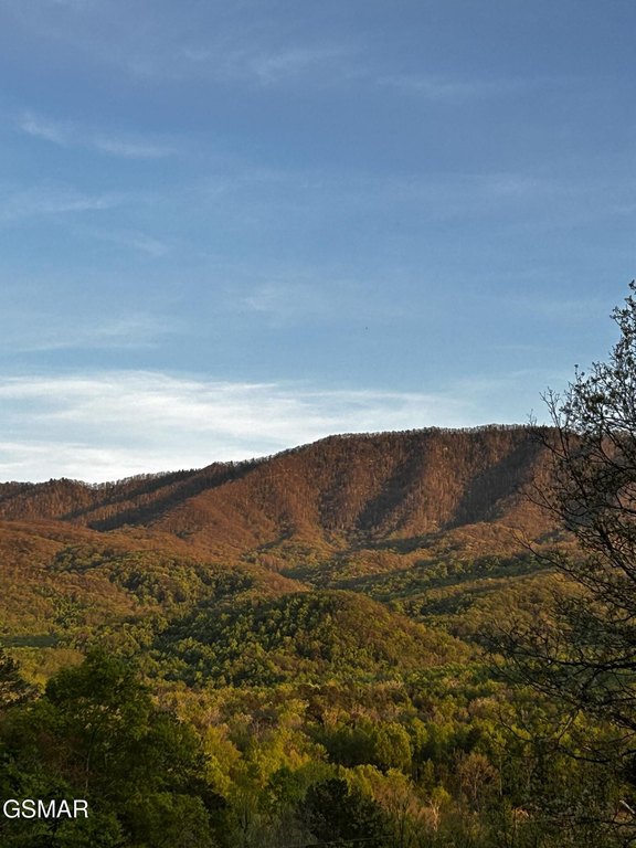 Gatlinburg, Tennessee, 37738, United States, 3 Bedrooms Bedrooms, ,3 BathroomsBathrooms,Residential,Forsale,1899765
