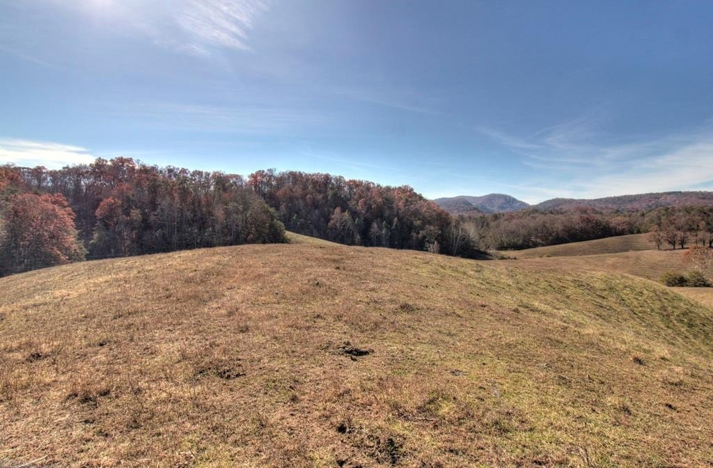Sevierville, Tennessee, 37876, United States, ,Land,Forsale,1893796