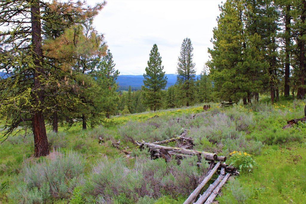 New Meadows, Idaho, 83654, United States, 1 Bedroom Bedrooms, ,1 BathroomBathrooms,Residential,Forsale,1889393