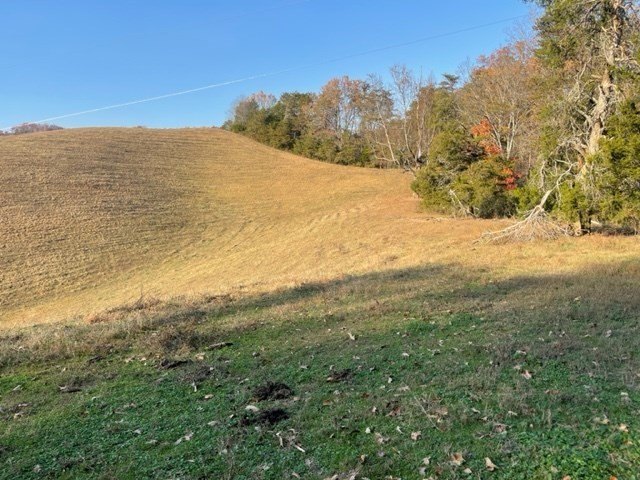 Sevierville, Tennessee, 37876, United States, ,Land,Forsale,1893796