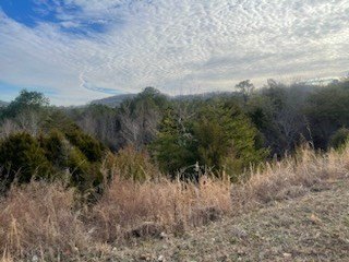 Sevierville, Tennessee, 37764, United States, ,Commercial,Forsale,1893795