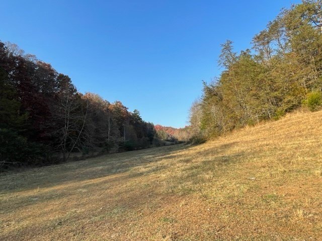 Sevierville, Tennessee, 37876, United States, ,Land,Forsale,1893796