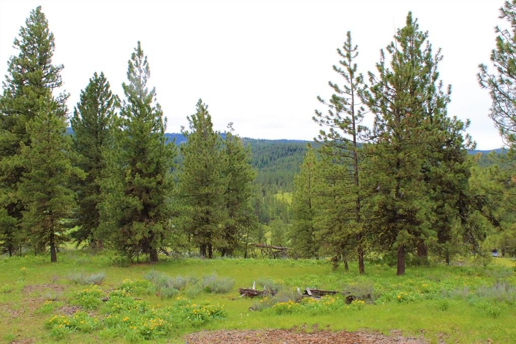 New Meadows, Idaho, 83654, United States, 2 Bedrooms Bedrooms, ,2 BathroomsBathrooms,Residential,Forsale,1889391