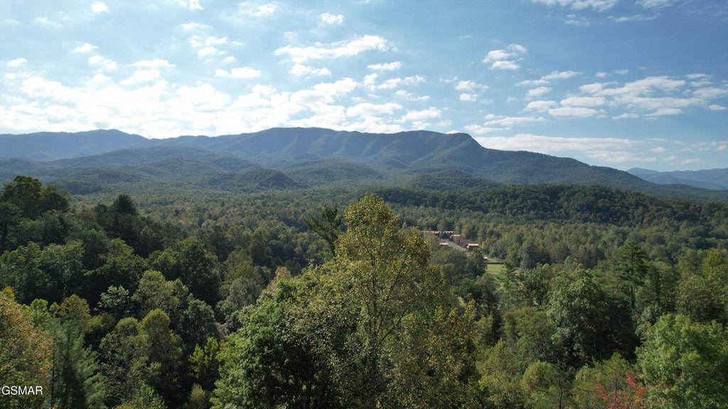 Gatlinburg, Tennessee, 37738, United States, 3 Bedrooms Bedrooms, ,3 BathroomsBathrooms,Residential,Forsale,1899765