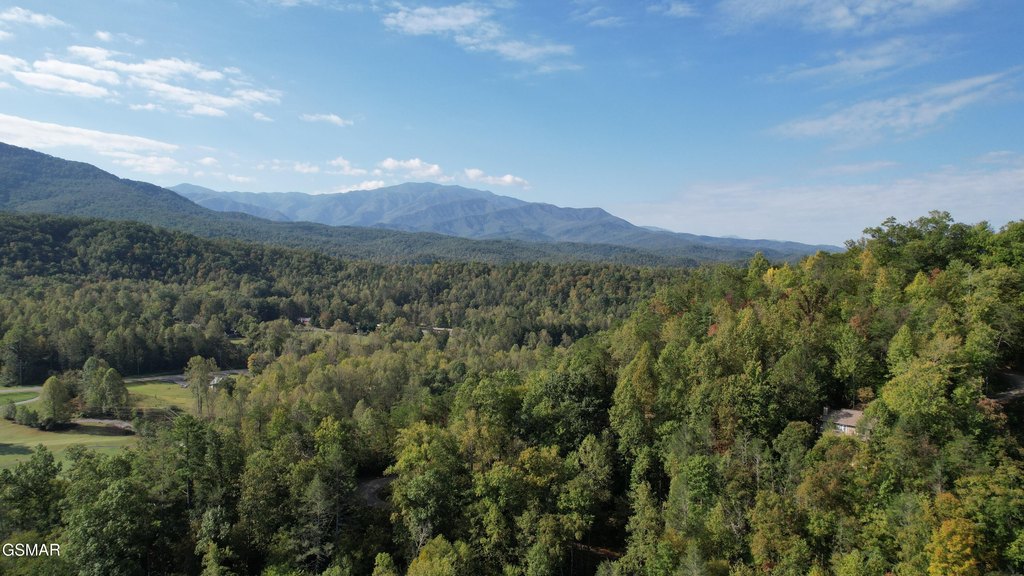 Gatlinburg, Tennessee, 37738, United States, 3 Bedrooms Bedrooms, ,3 BathroomsBathrooms,Residential,Forsale,1899765