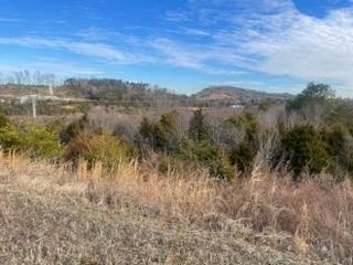 Sevierville, Tennessee, 37764, United States, ,Commercial,Forsale,1893795