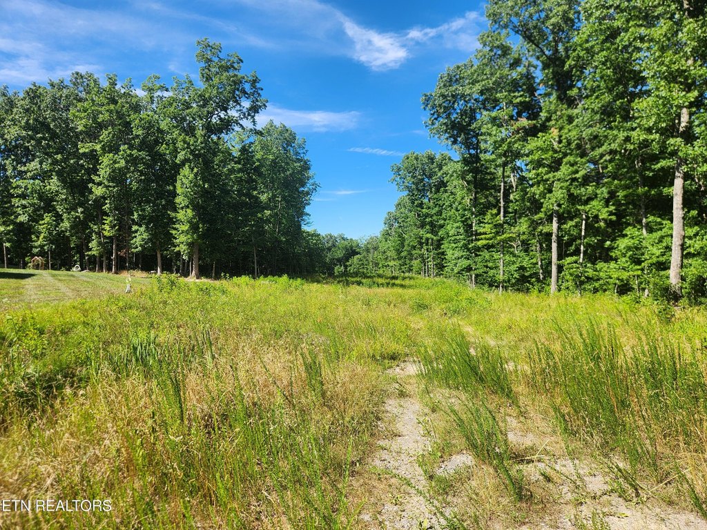 Crossville, Tennessee, 38571, United States, ,Land,Forsale,1907868