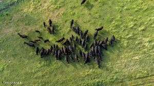 Cornville, Arizona, 86325, United States, 5 Bedrooms Bedrooms, ,2 BathroomsBathrooms,Residential,Forsale,1985622