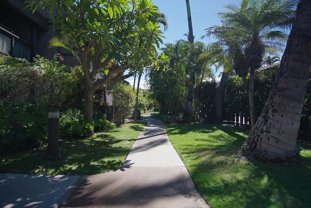 Kihei, Hawaii, 96753, United States, 1 Bedroom Bedrooms, ,1 BathroomBathrooms,Residential,Forsale,1944122