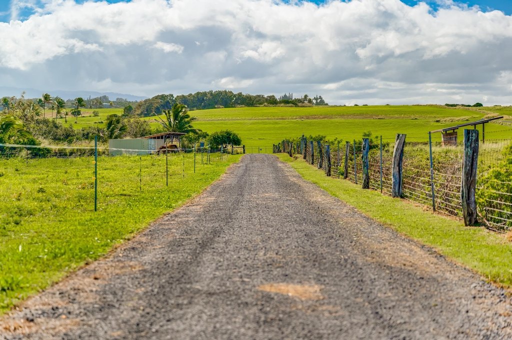 Haiku, Hawaii, 96708, United States, ,Land,Forsale,2007680