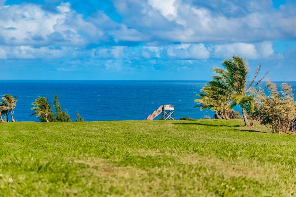 Haiku, Hawaii, 96708, United States, ,Land,Forsale,2007680