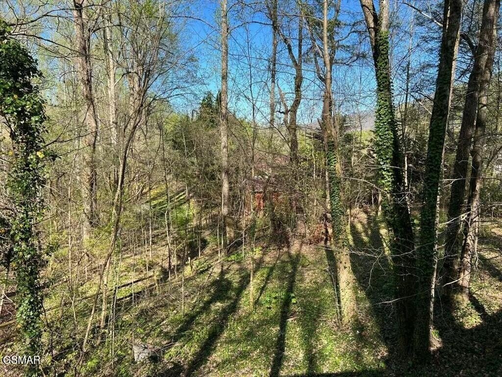 Sevierville, Tennessee, 37862, United States, 2 Bedrooms Bedrooms, ,2 BathroomsBathrooms,Residential,Forsale,1893750
