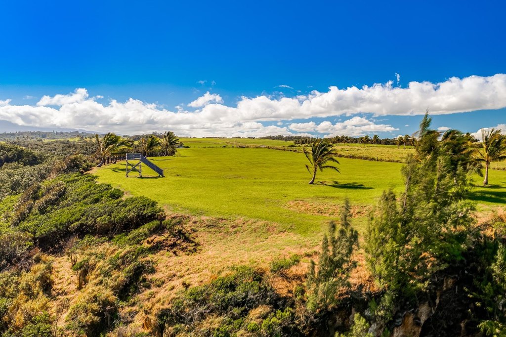 Haiku, Hawaii, 96708, United States, ,Land,Forsale,2007680