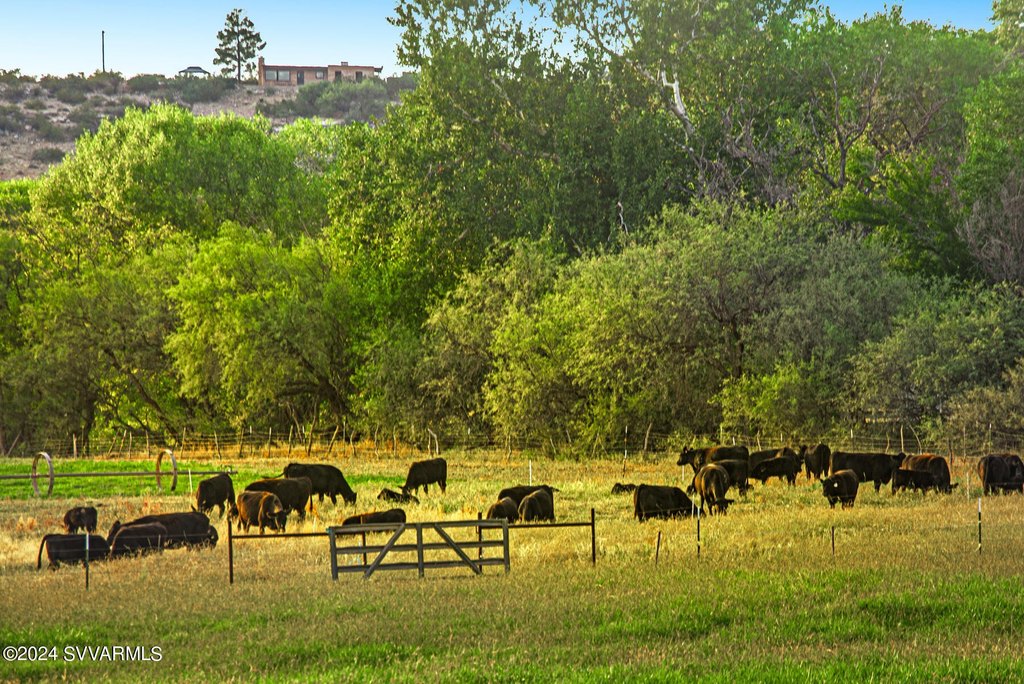 Cornville, Arizona, 86325, United States, 5 Bedrooms Bedrooms, ,2 BathroomsBathrooms,Residential,Forsale,1985622