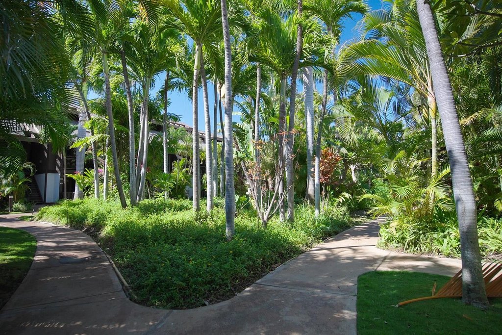 Kihei, Hawaii, 96753, United States, 1 Bedroom Bedrooms, ,1 BathroomBathrooms,Residential,Forsale,1944122