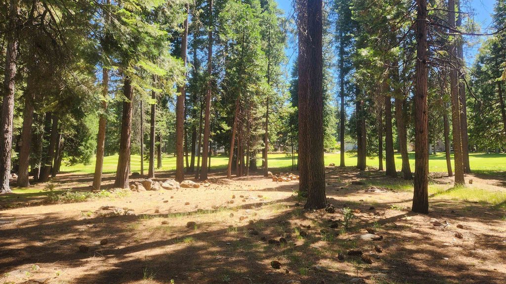 Lake Almanor West, California, 96020, United States, 3 Bedrooms Bedrooms, ,2 BathroomsBathrooms,Residential,Forsale,1993798