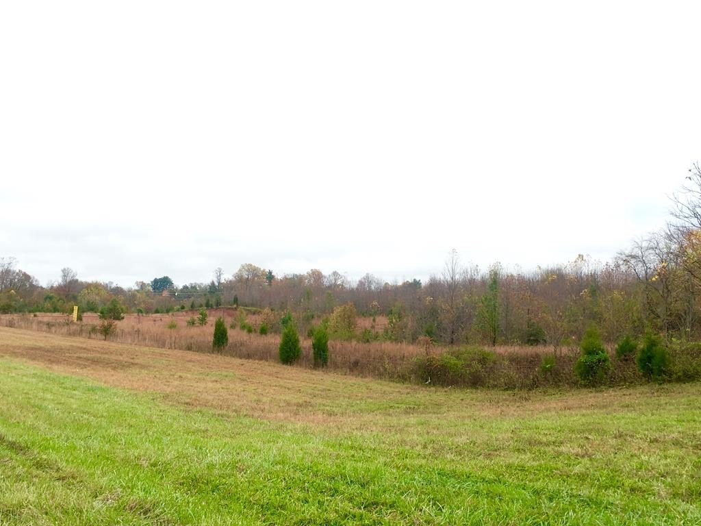 COOKEVILLE, Tennessee, 38501, United States, ,Land,Forsale,1886003