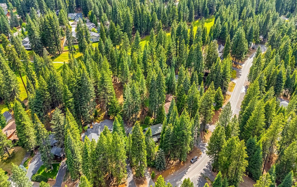 Lake Almanor West, California, 96020, United States, 3 Bedrooms Bedrooms, ,2 BathroomsBathrooms,Residential,Forsale,1993798