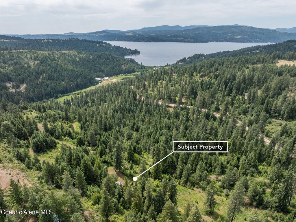 Harrison, Idaho, 83833, United States, ,Land,Forsale,1946354