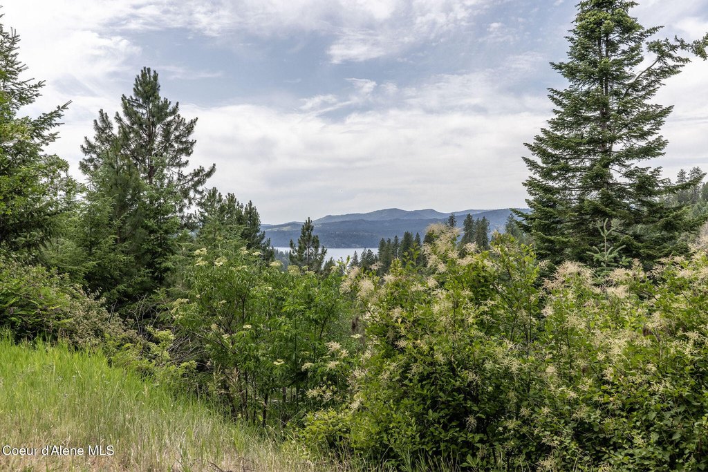 Harrison, Idaho, 83833, United States, 2 Bedrooms Bedrooms, ,1 BathroomBathrooms,Residential,Forsale,1913863
