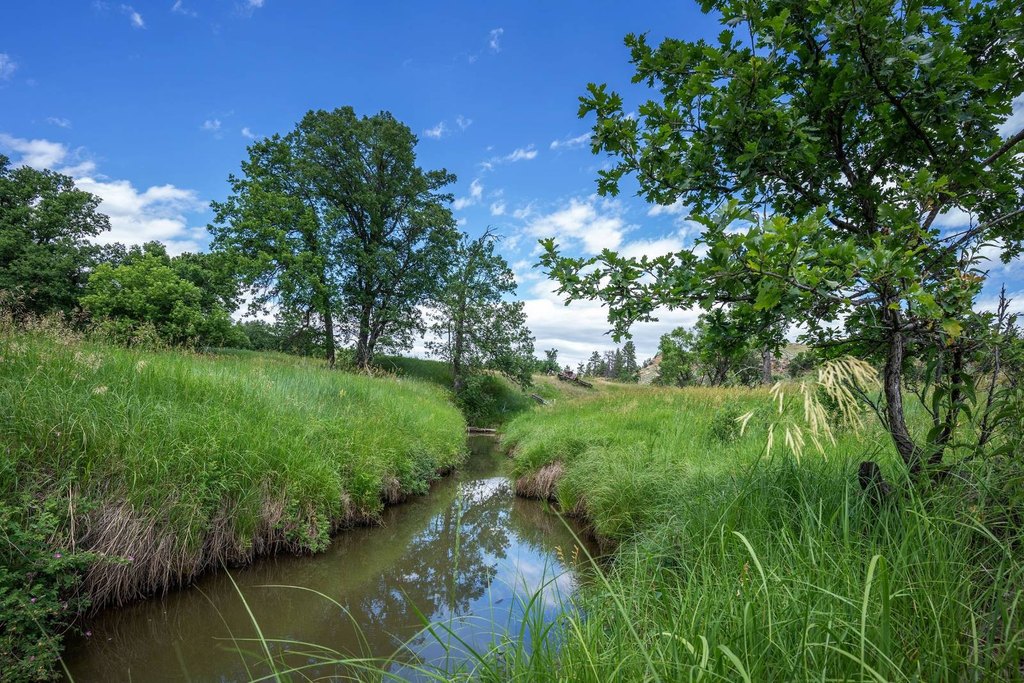 Hulett, Wyoming, 82720, United States, 4 Bedrooms Bedrooms, ,3 BathroomsBathrooms,Residential,Forsale,2004327