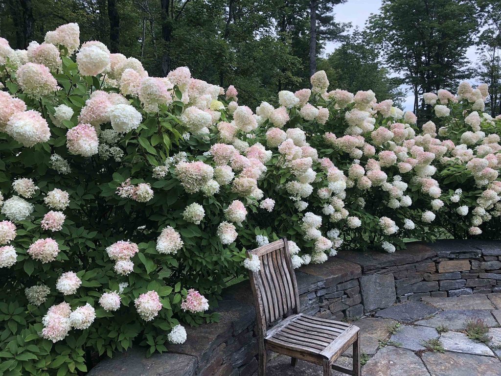 Barnard, Vermont, 05031, United States, 7 Bedrooms Bedrooms, ,7.5 BathroomsBathrooms,Residential,Forsale,1999505