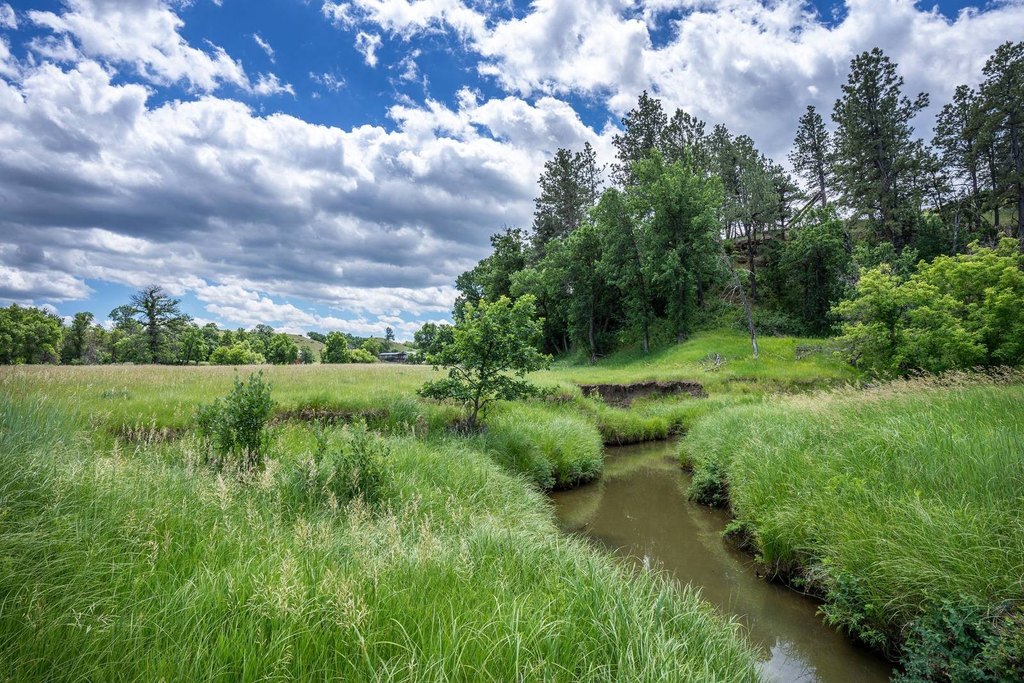 Hulett, Wyoming, 82720, United States, 4 Bedrooms Bedrooms, ,3 BathroomsBathrooms,Residential,Forsale,2004327