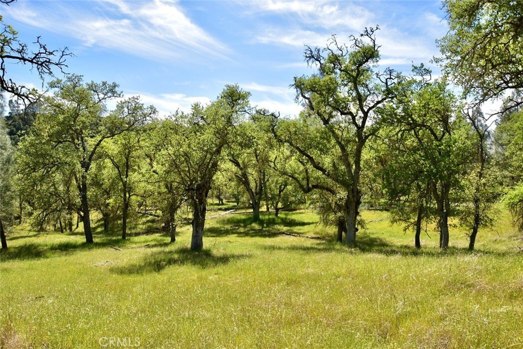 Paso Robles, California, 93446, United States, ,Land,Forsale,2003967