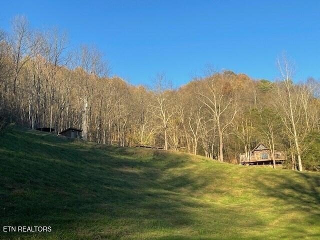 Gainesboro, Tennessee, 38562, United States, 2 Bedrooms Bedrooms, ,1 BathroomBathrooms,Residential,Forsale,1905429