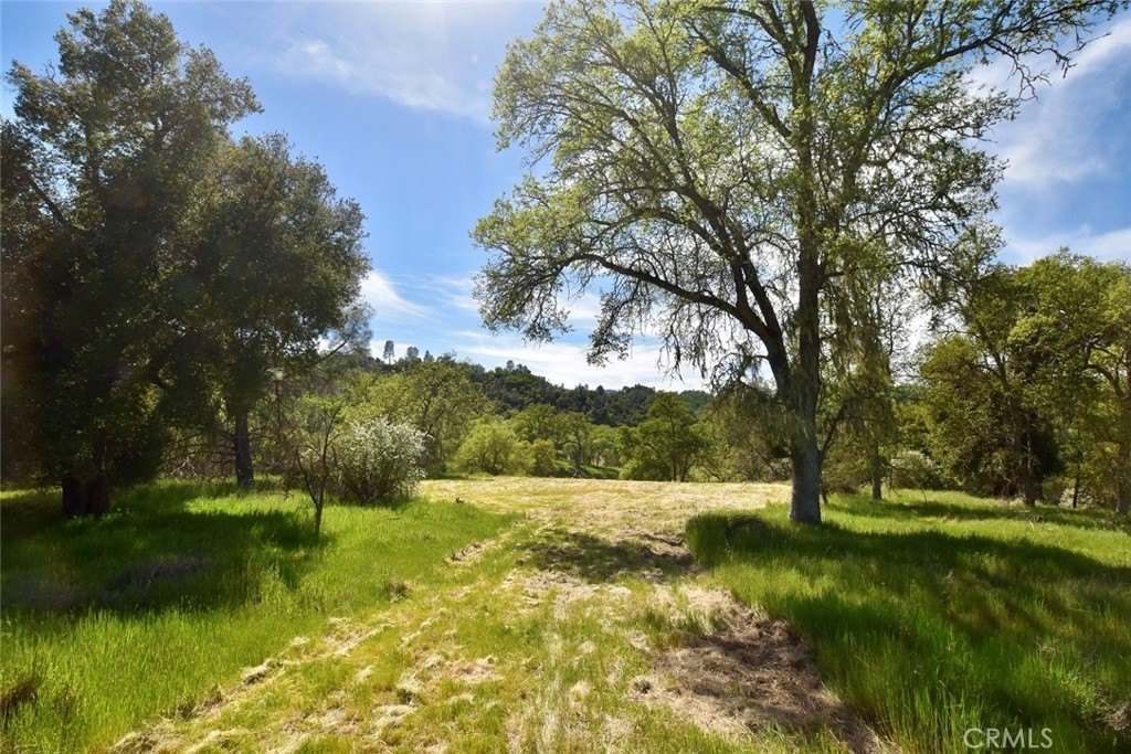 Paso Robles, California, 93446, United States, ,Land,Forsale,2003967