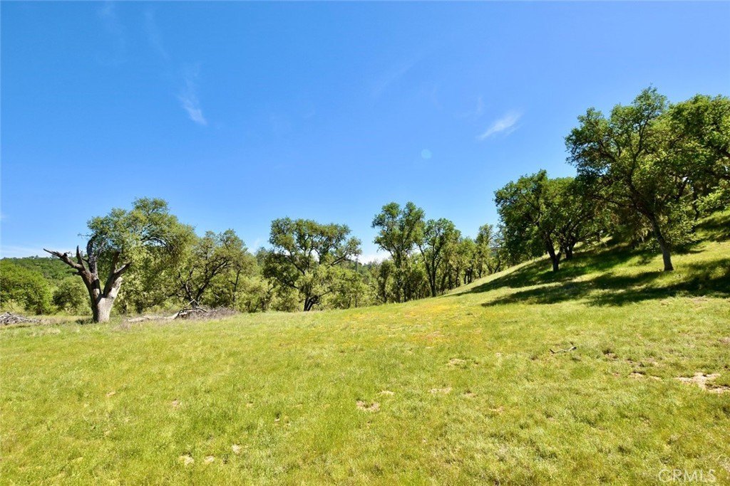 Paso Robles, California, 93446, United States, ,Land,Forsale,2003967