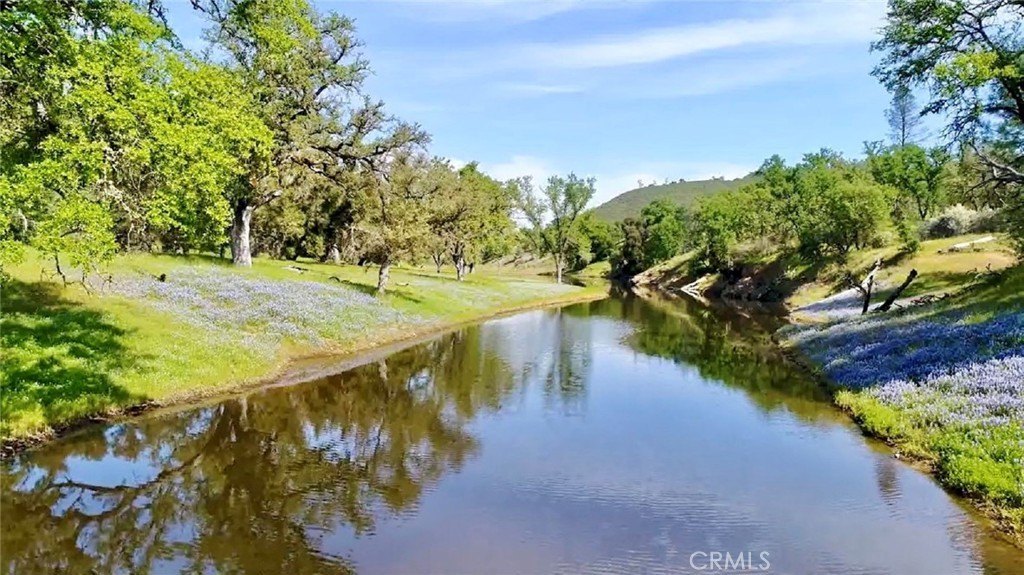 Paso Robles, California, 93446, United States, ,Land,Forsale,2003967