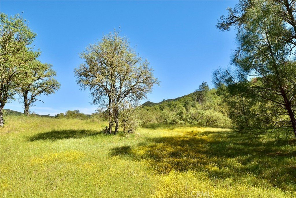 Paso Robles, California, 93446, United States, ,Land,Forsale,2003967
